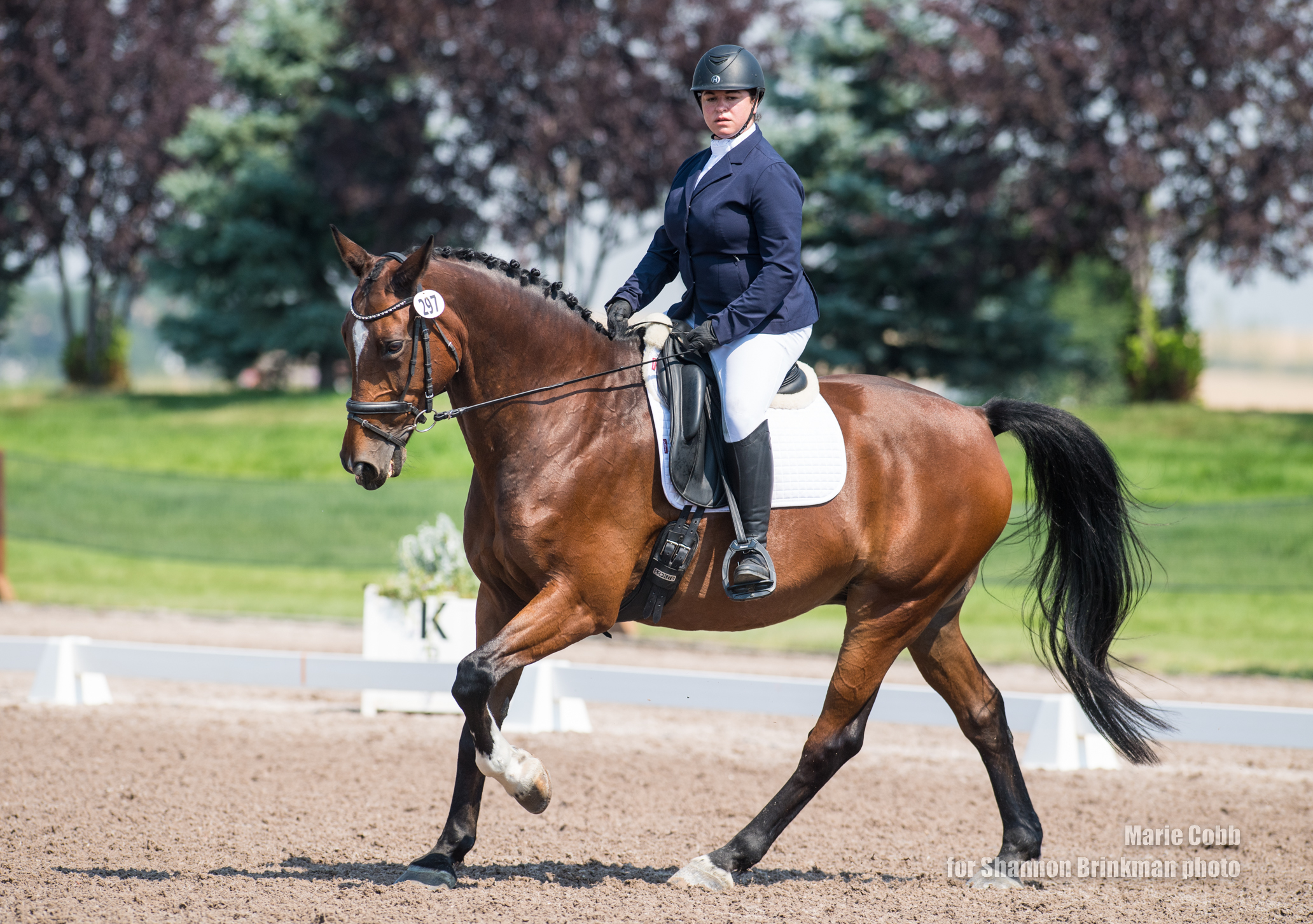 Mandy Collins and Vatino. Shannon Brinkman Photo