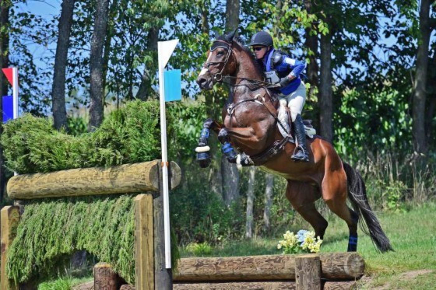 Meet the Winners of the First Qualifiers in the 2018 Adequan USEA Gold Cup Series