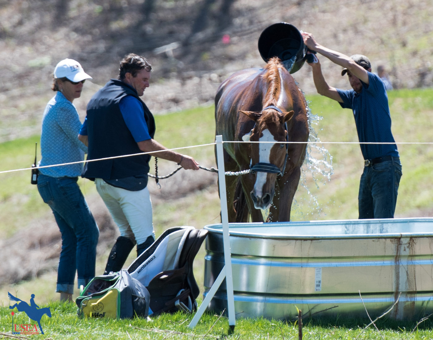 Equine Welfare with Dr. Catherine Kohn and Dr. Stephanie Davis