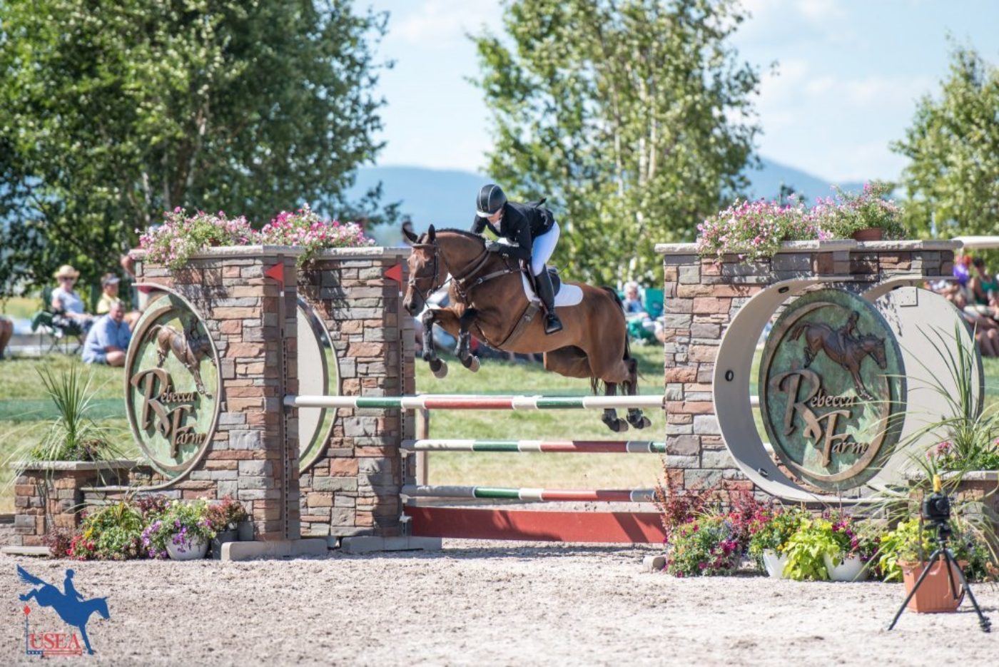 Erin Sylvester: 2017 Rebecca Broussard International Developing Rider Grant Winner