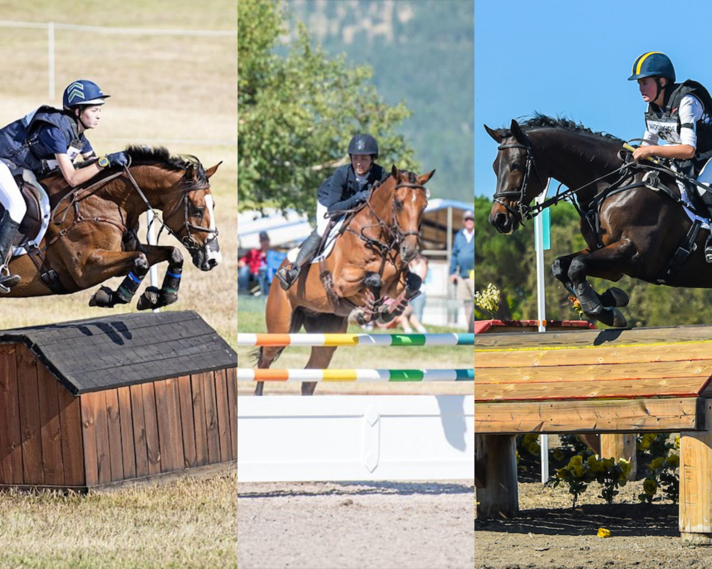 The Next Generation: Eventing 18 Winter Training Sessions