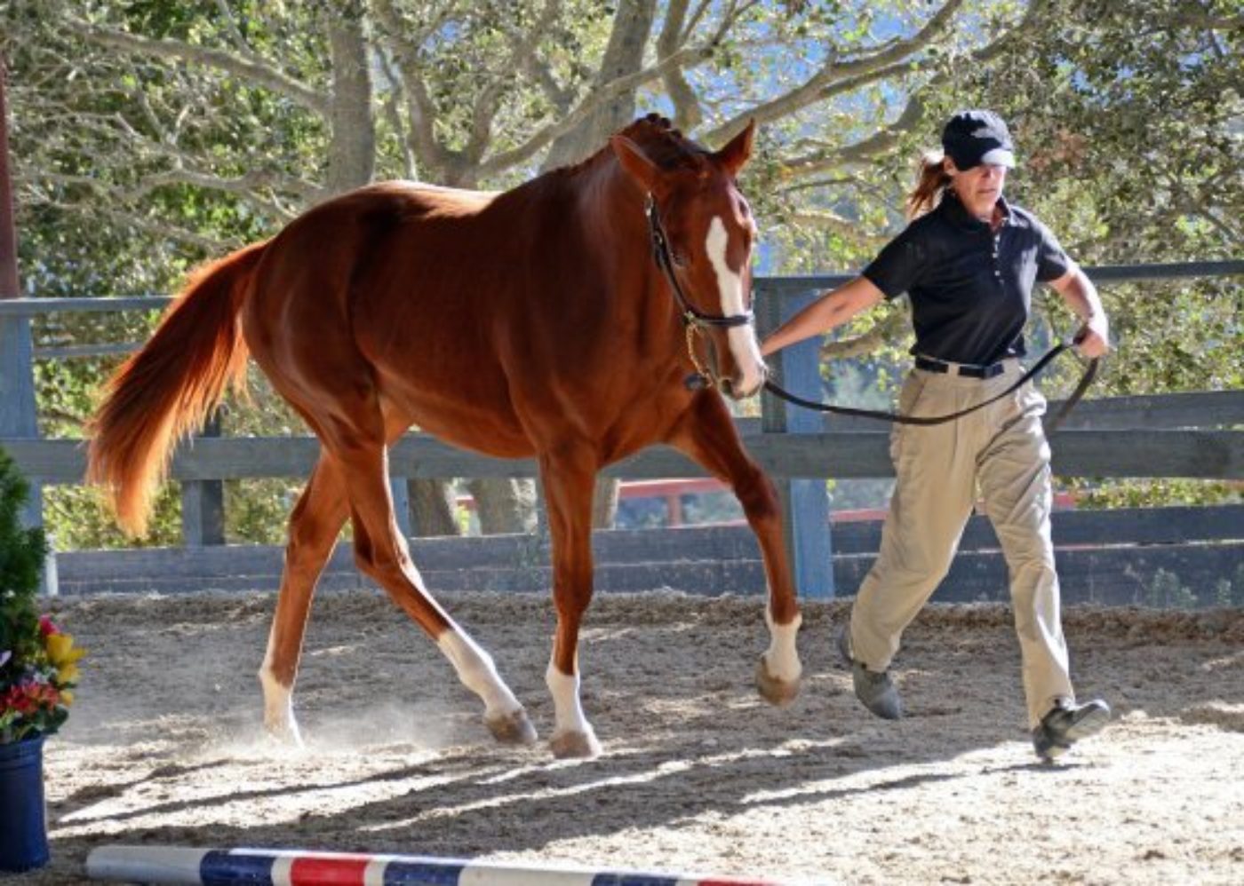 USEA FEH West Coast Championships & Hall of Fame