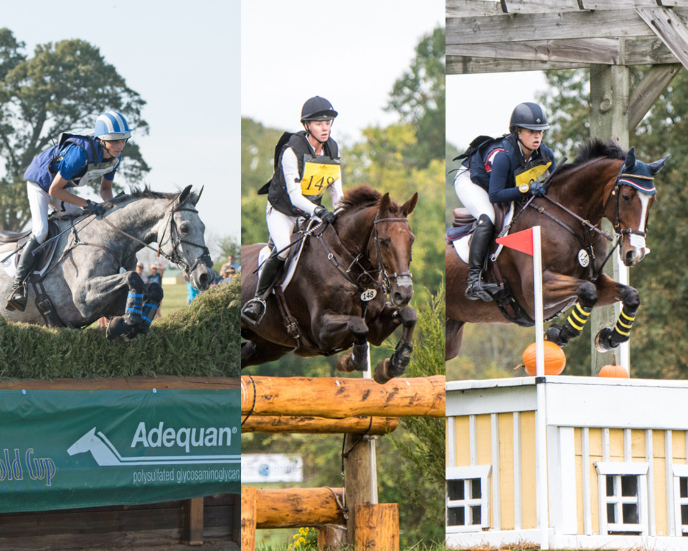 Insights from the Eventing 25 Winter Training Sessions