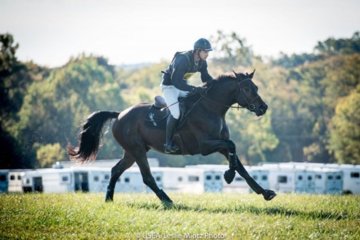 Event Calendar: Lou Leslie & Equine Behavior: Tik Maynard