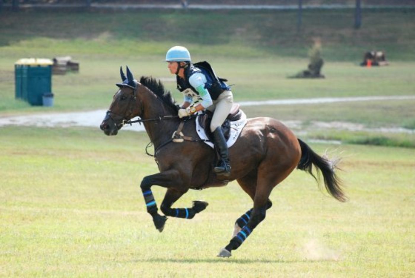 Valerie Vizcarrondo / Young Horse Selection