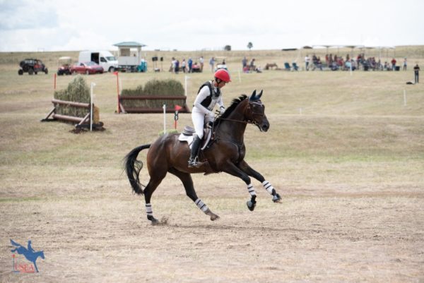 2018 USEA AEC Novice and Beginner Novice Cross-Country