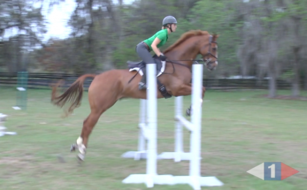 VIDEO: Eventing Training Online Presents Get Those Feet Moving with Dorothy Crowell