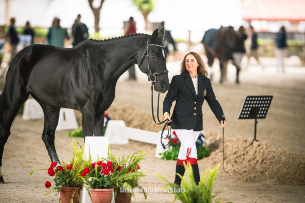 2023 Pan American Games | Horse Inspection