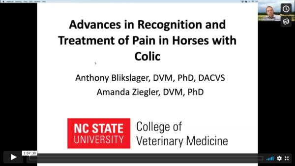 Advances in Recognition and Treatment of Pain in Horses with Colic