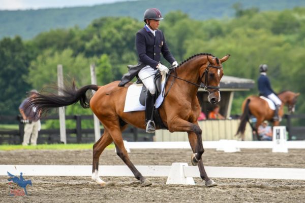 2018 Millbrook Horse Trials Advanced Dressage Day 1