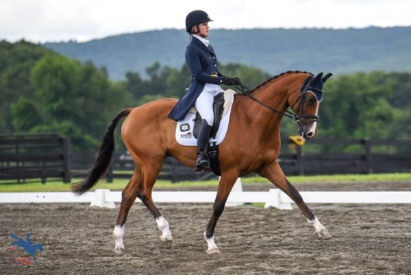 2018 Millbrook Horse Trials Advanced Dressage Day 2