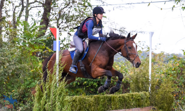 2019 Maryland Beginner Novice Three-Day Event