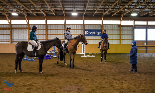 Forward Riding for Successful Jumping with Kim Severson