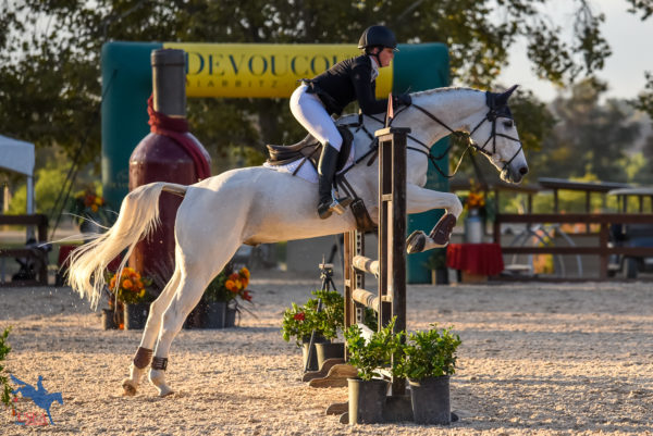 2019 Galway Downs International Training Three-Day Show Jumping