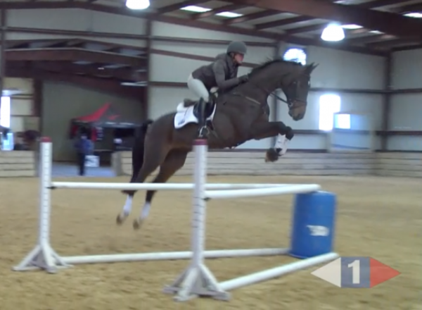 VIDEO: Eventing Training Online Presents Jumping to Improve Rider Effectiveness with Mary King