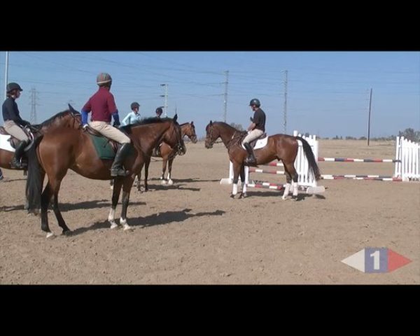 VIDEO: Eventing Training Online Presents Making Your Horse Adjustable with Phillip Dutton