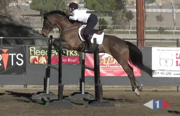 VIDEO: Eventing Training Online Presents Sit Still and Keep the Rhythm with Pippa Funnell