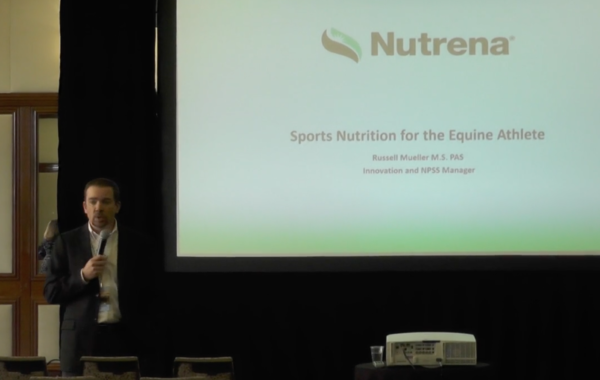 VIDEO: Nutrition for the Equine Athlete with Russell Mueller