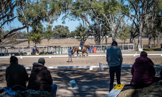 2024 ECP Symposium to be held at the Florida Horse Park on January 30 through February 1