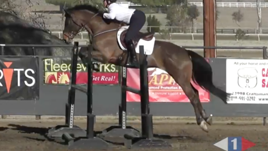 VIDEO: Eventing Training Online Presents Sit Still and Keep the Rhythm with Pippa Funnell