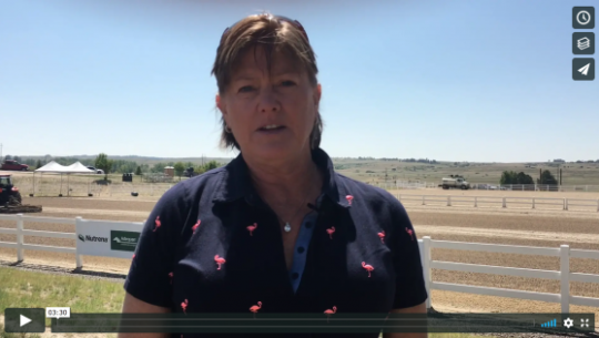 USEA Event College at #AEC2018: Odd Jobs of a Show Organizer with Shelley Page