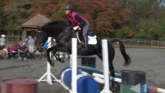 VIDEO: Eventing Training Online Presents Jumping Fundamentals with William Micklem