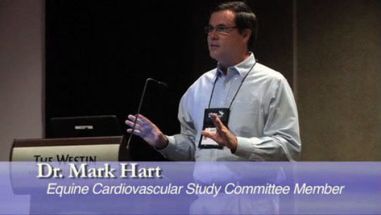 2010 USEA Annual Meeting & Convention: USEA Safety Studies Update with Dr. Mark Hart