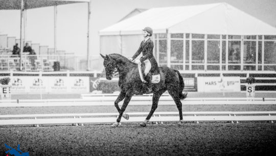 Woods Baughman Leads CCI5* Dressage at Maryland 5 Star