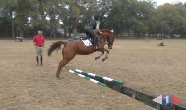 VIDEO: Eventing Training Online Presents Introducing Horses to Ditches with Kyle Carter