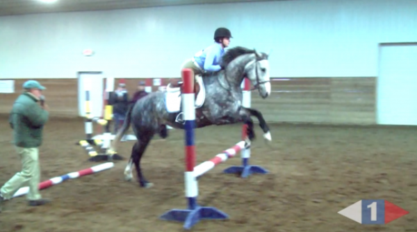 VIDEO: Eventing Training Online Presents Feeling Your Horse with Jimmy Wofford