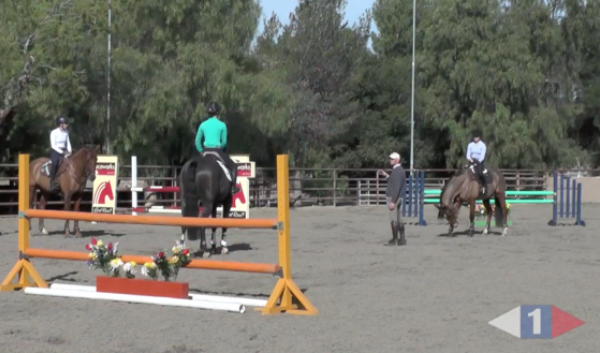 VIDEO: Eventing Training Online Presents On the Aids for Show Jumping with Leslie Law