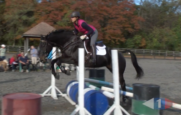 VIDEO: Eventing Training Online Presents Jumping Fundamentals with William Micklem