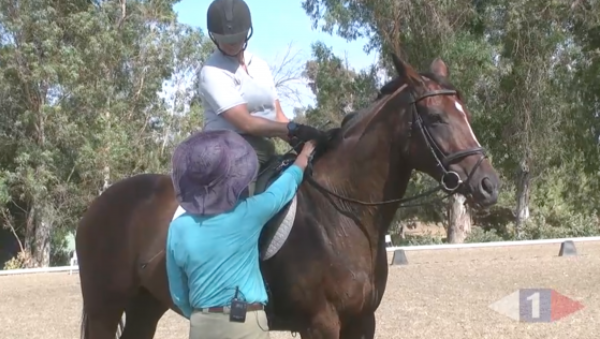 VIDEO: Eventing Training Online Presents Improving the Gaits with Jane Bartle-Wilson