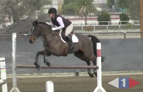 VIDEO: Eventing Training Online Presents Rideability Exercises Over Fences with Boyd Martin