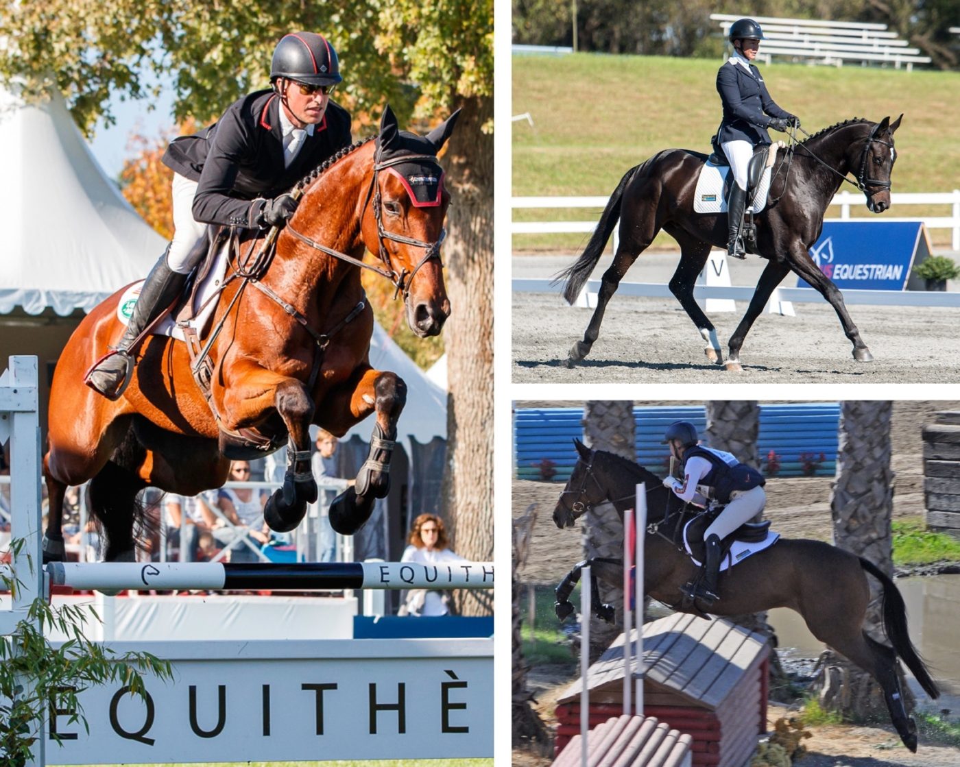 Young Horse Championship Round-Up