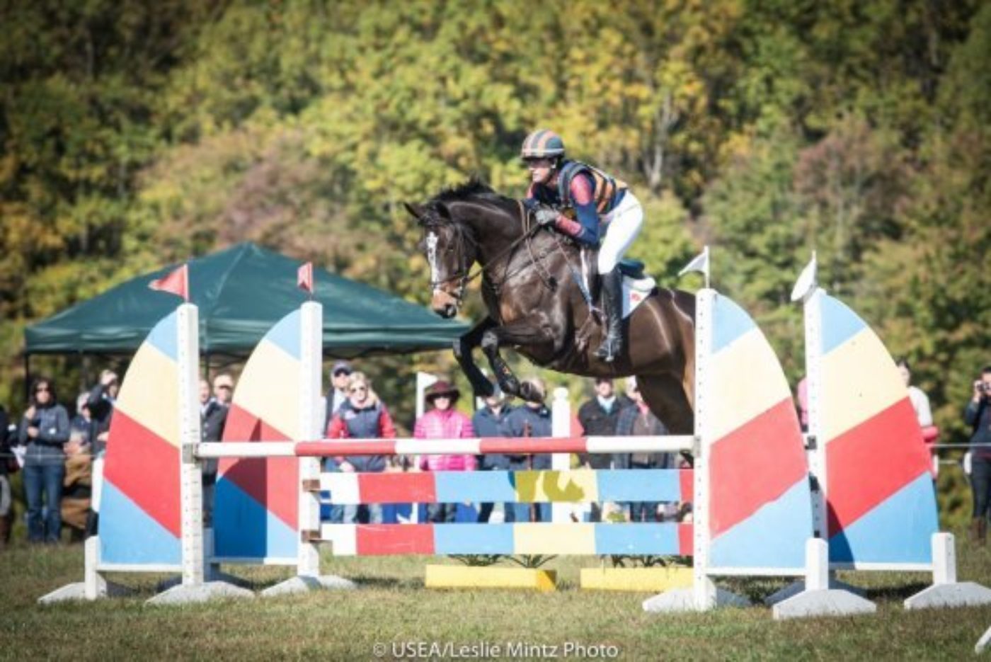 DX Eventing: Lou Leslie / Starting Young Event Horses: Debbie Adams