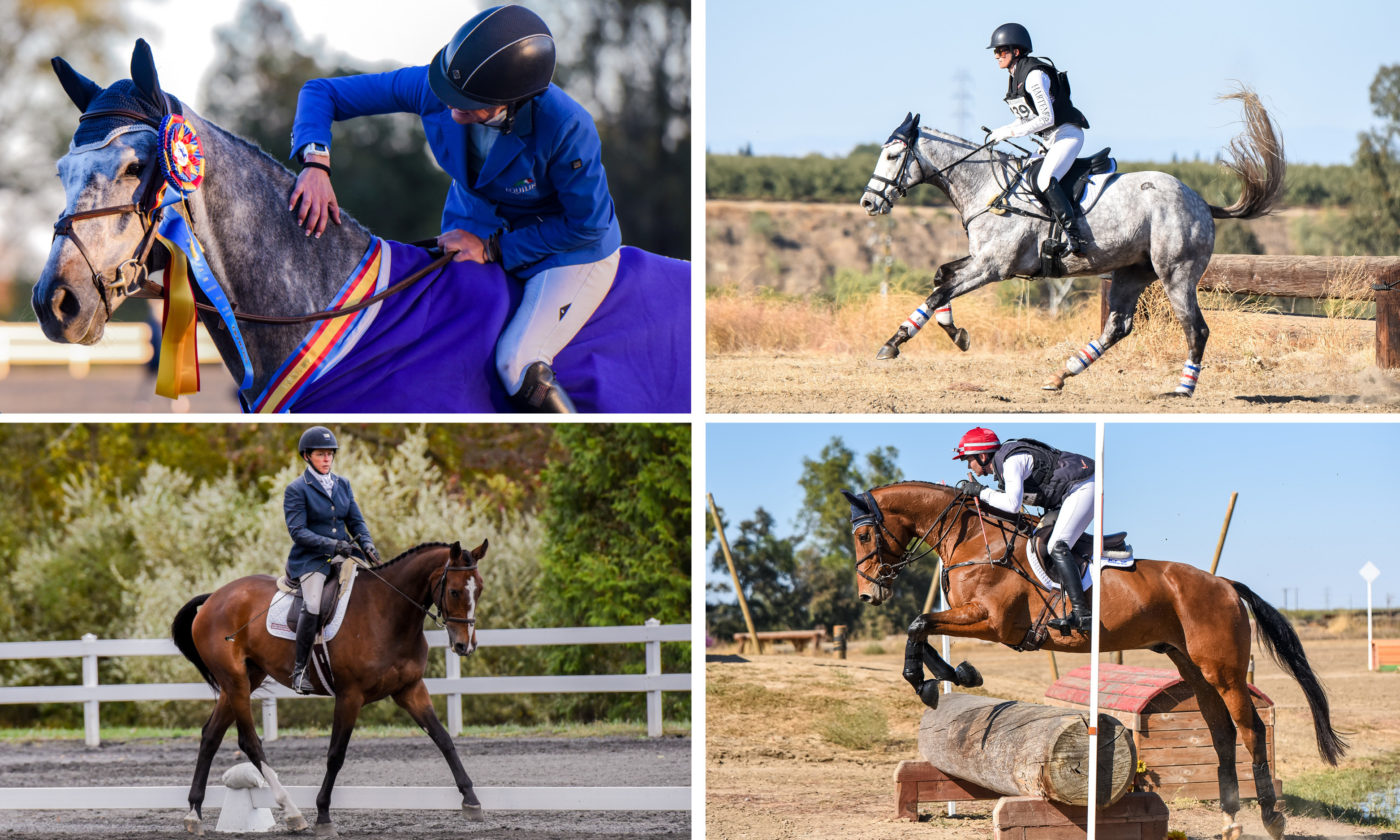 Bright Young Stars: The Young Event Horse Champions