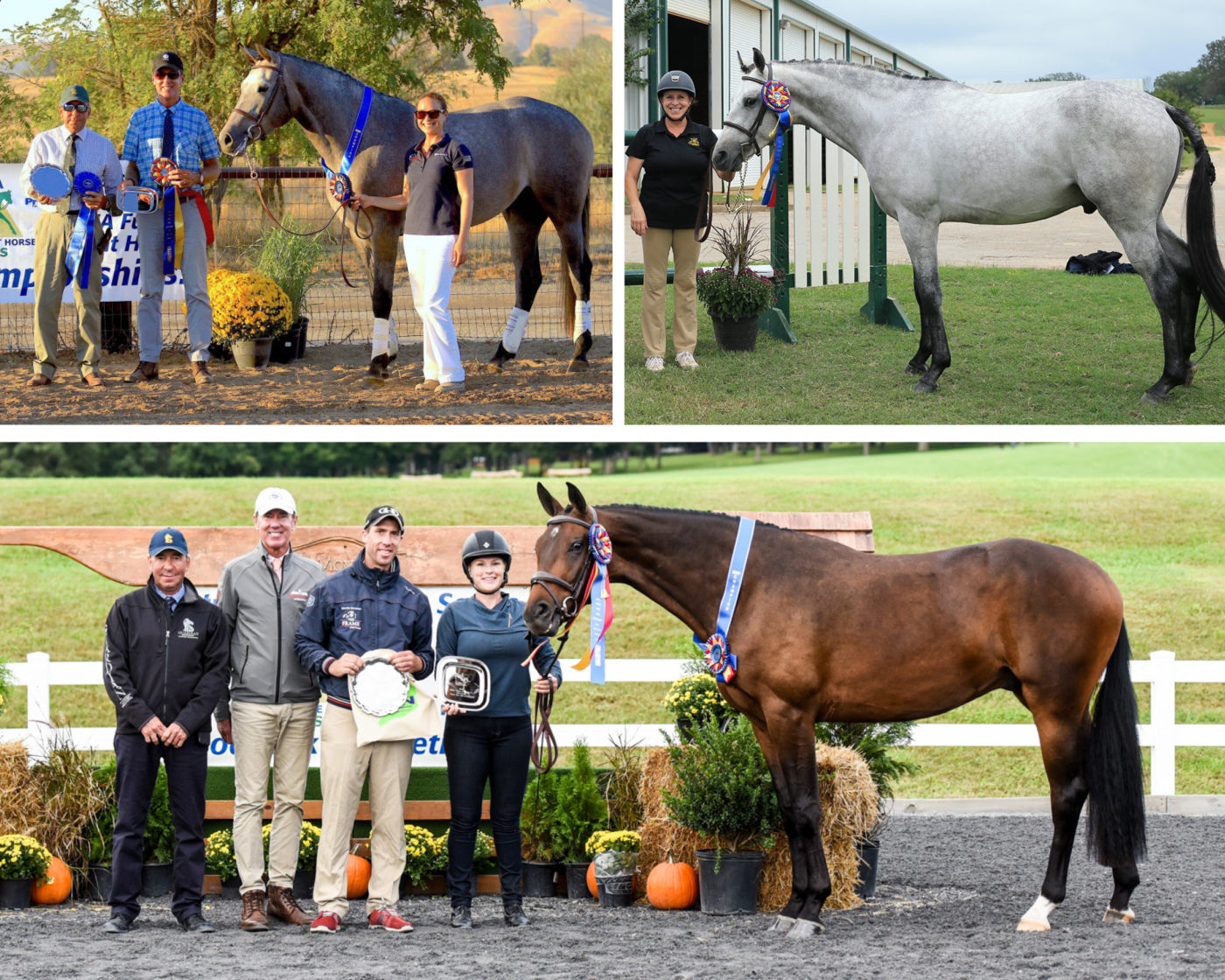 Three of a Kind: Meet the 2018 USEA FEH East, West, and Central Grand Champions