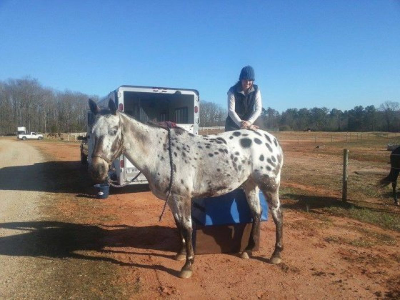 Alternate Therapies: Max Corcoran / Equine Behaviour: Tik Maynard