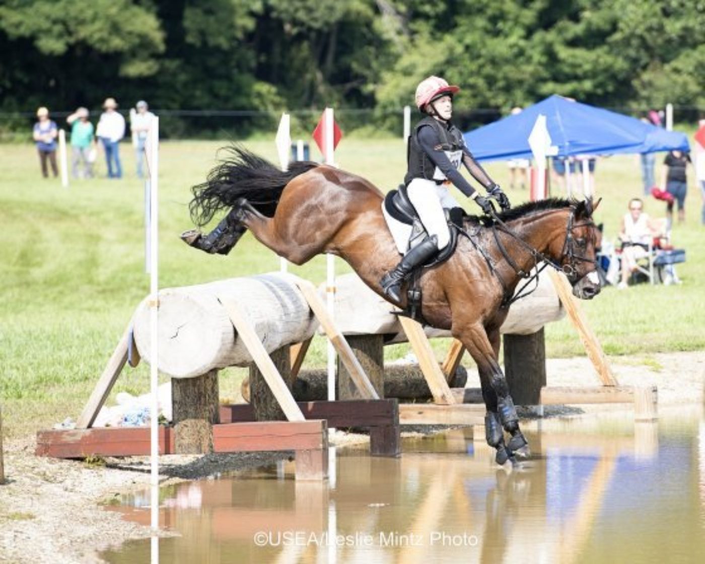 Convention Review: Rob Burk; Under-25: Savannah Fulton; Young Horses: Debbie Adams