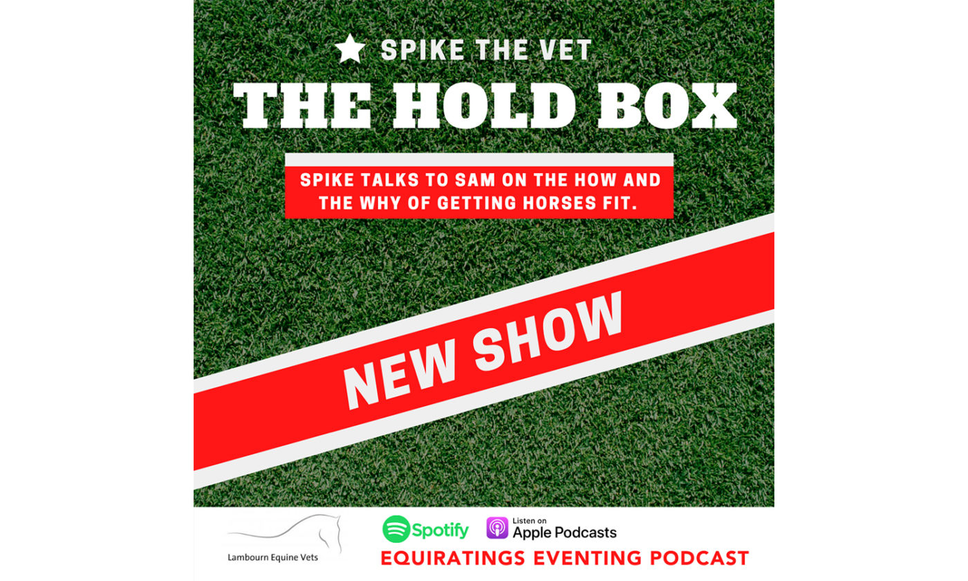 Bonus Episode: The Hold Box: Fitness