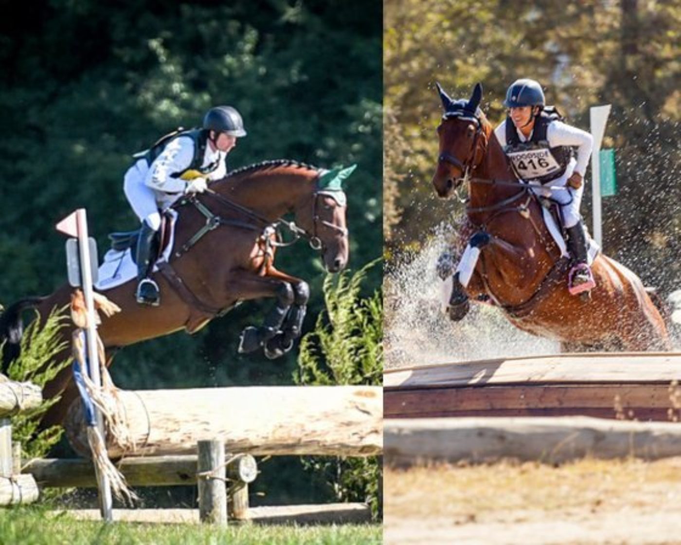 Get to Know Your 2016 USEA Young Event Horse Champions: Foreign Quality and Woodford Reserve