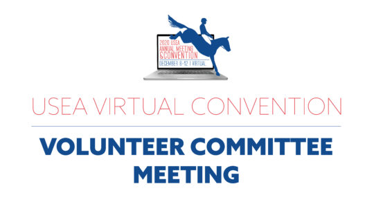 Volunteer Committee Meeting